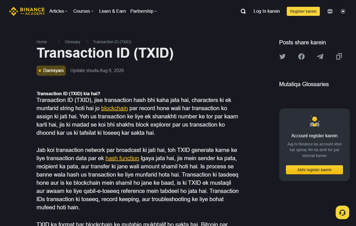 Binance Academy 真實公開 TXID 頁面,說明 transaction hash 可在區塊瀏覽器查詢