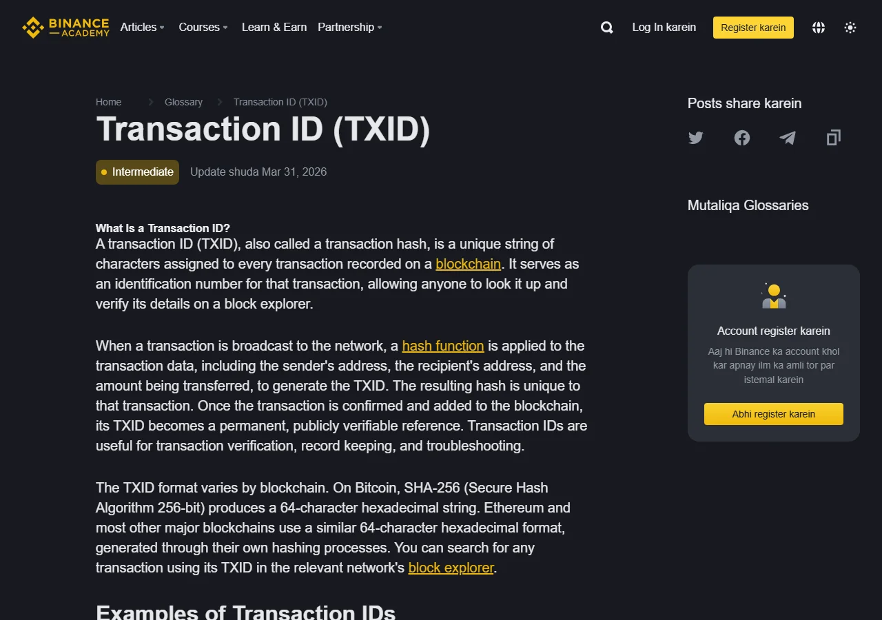 Binance Academy کا TxID صفحہ، جس میں on-chain transaction کے قابلِ تصدیق fields بیان کیے گئے ہیں